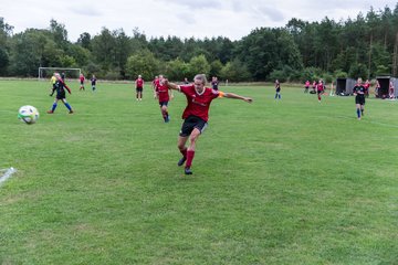 Bild 228 - Frauen SG NieBar - HSV 2 : Ergebnis: 4:3